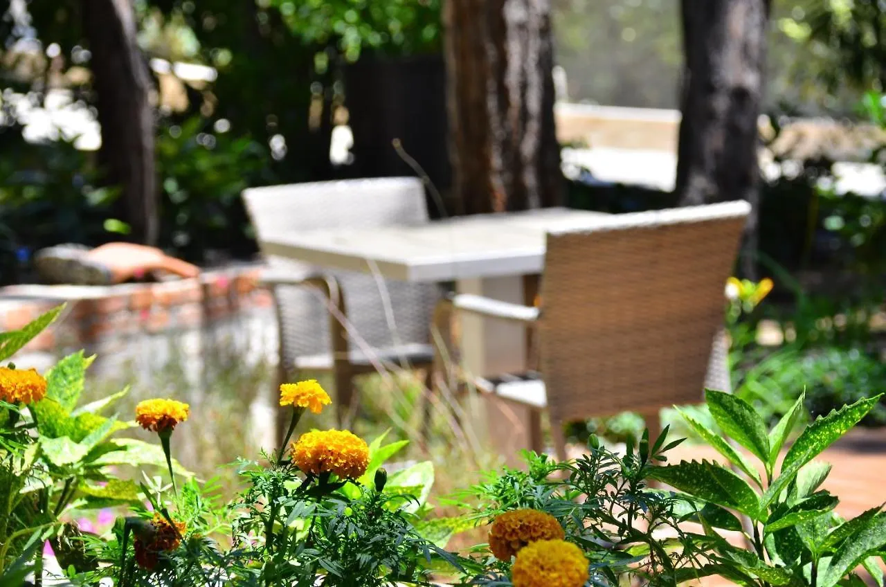 Peninsula Pine Club Boutique Hotel & Spaクシャダス クシャダス